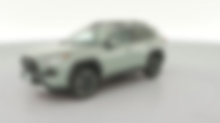 2019 Toyota RAV4 vehicle photo