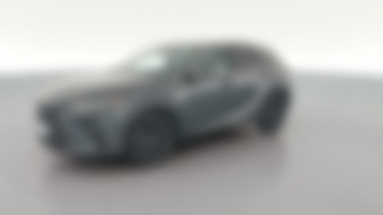 2024 Lexus RX vehicle photo