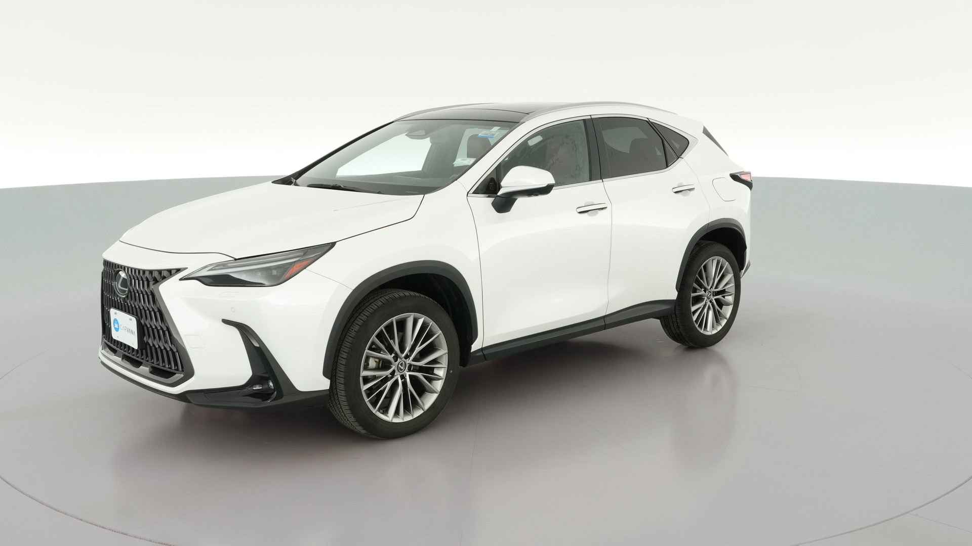 2023 Lexus NX vehicle photo