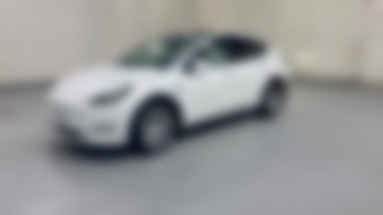 2023 Tesla Model Y vehicle photo