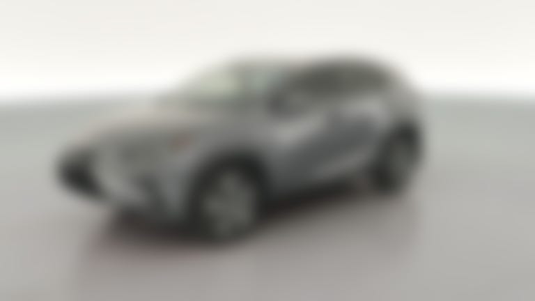 2020 Lexus NX vehicle photo