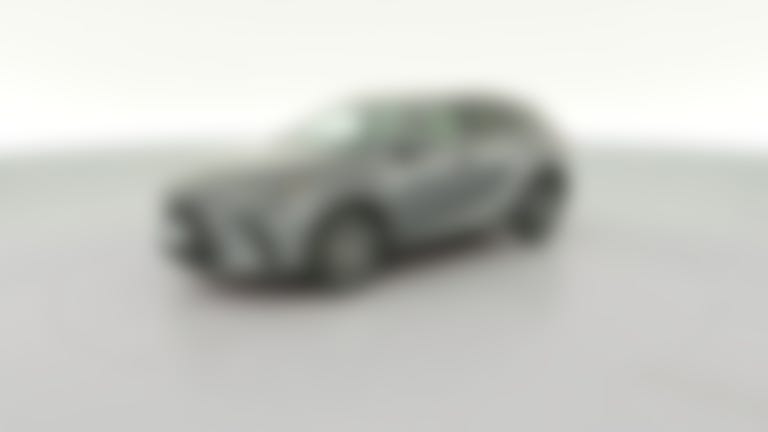 2023 Lexus RX vehicle photo