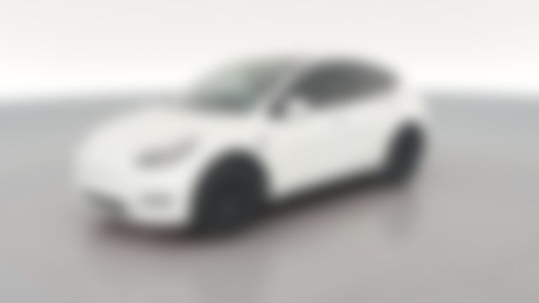 2021 Tesla Model Y vehicle photo