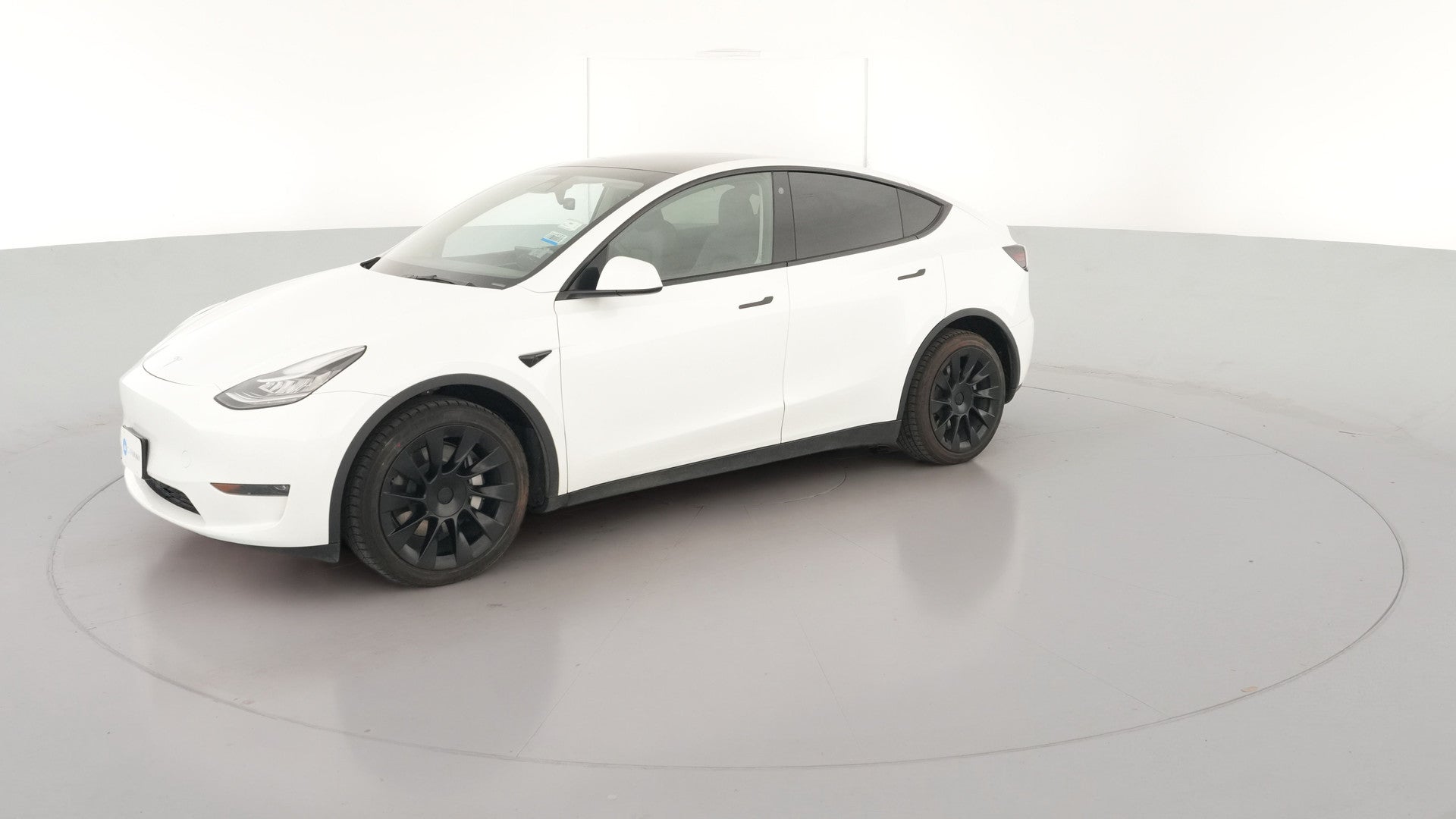 2023 Tesla Model Y vehicle photo