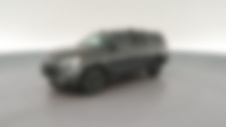2020 Ford Expedition MAX vehicle photo