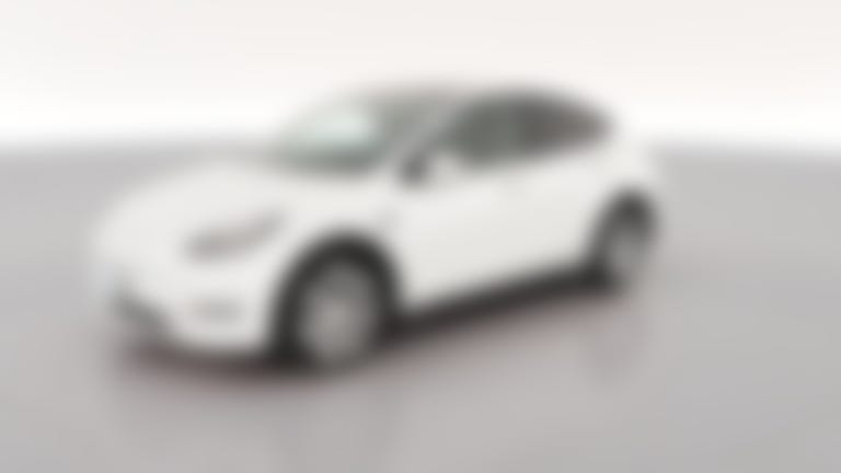 2023 Tesla Model Y vehicle photo