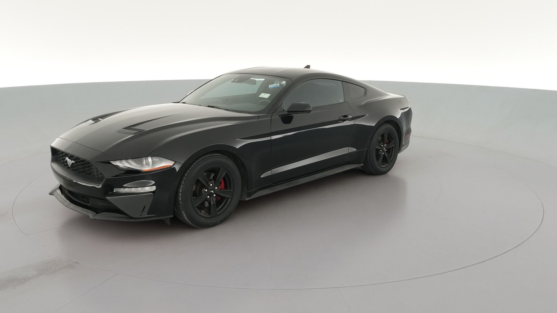 2022 Ford Mustang vehicle photo