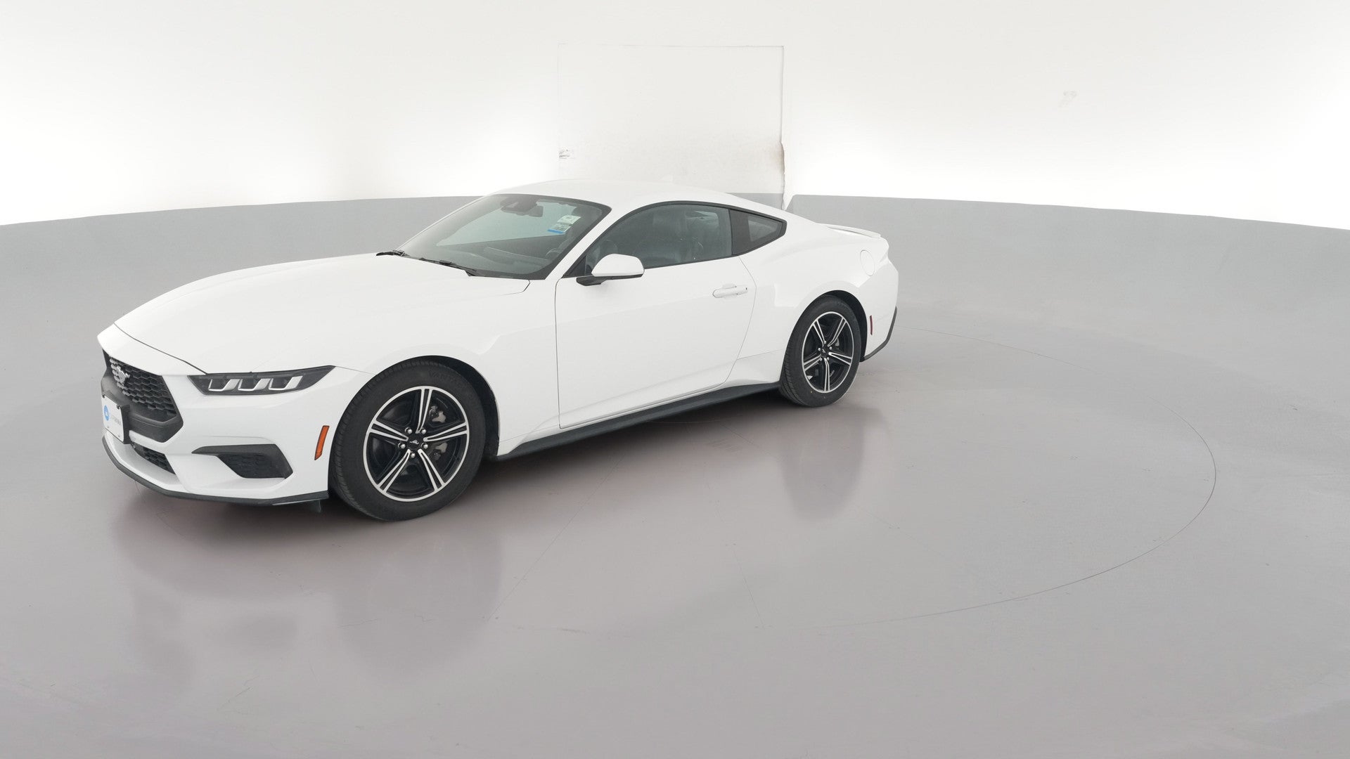 2024 Ford Mustang vehicle photo