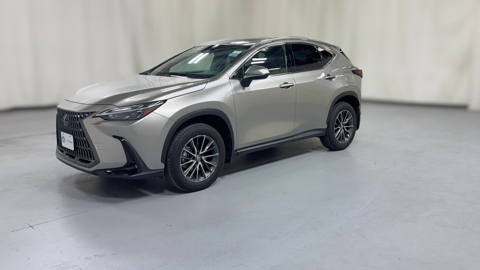 2025 Lexus NX vehicle photo