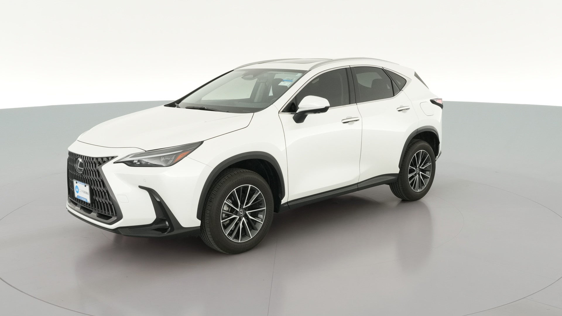 2024 Lexus NX vehicle photo