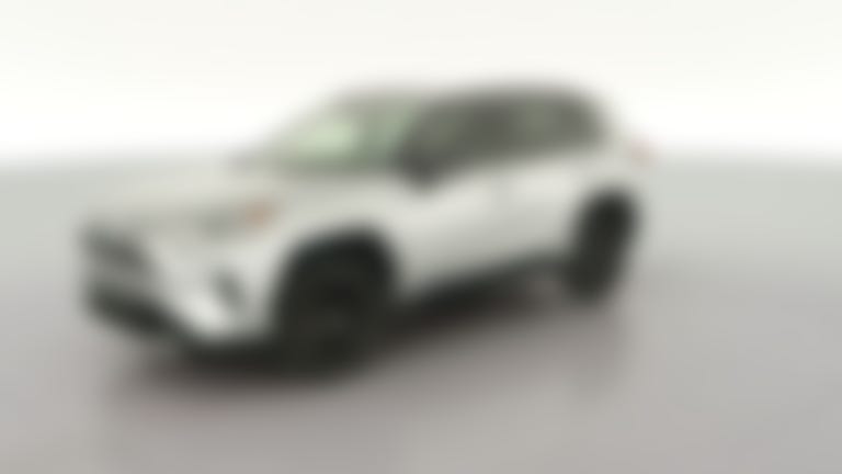 2019 Toyota RAV4 Hybrid vehicle photo