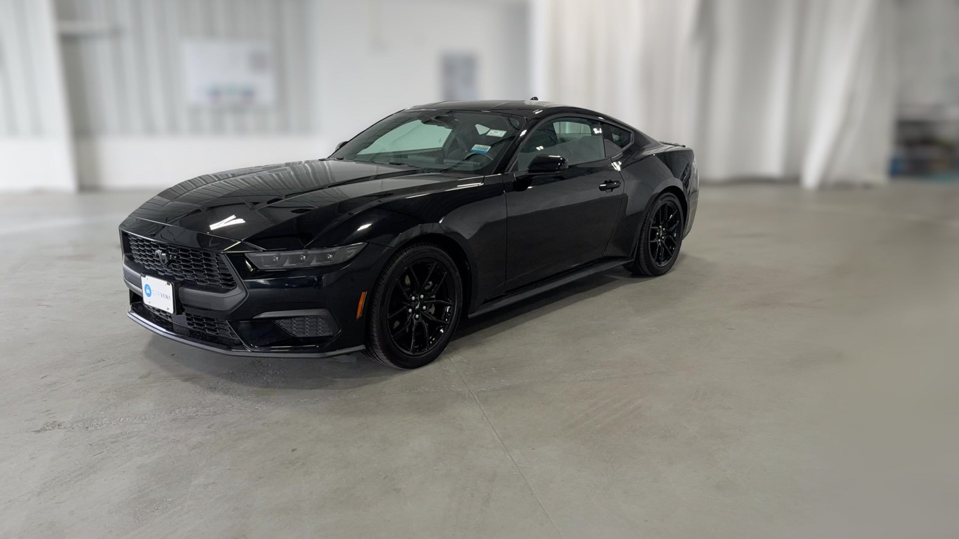 2025 Ford Mustang vehicle photo