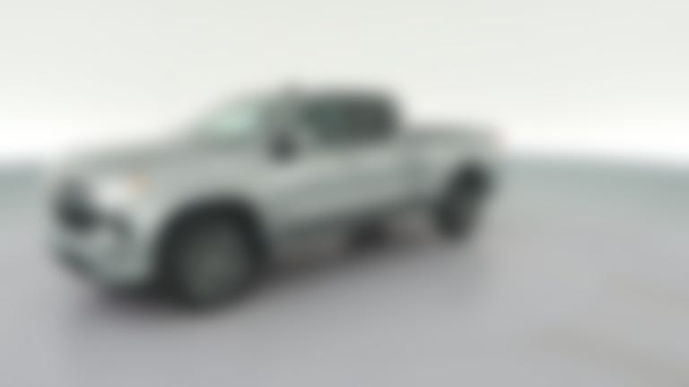 2023 Chevrolet Silverado 1500 Double Cab vehicle photo