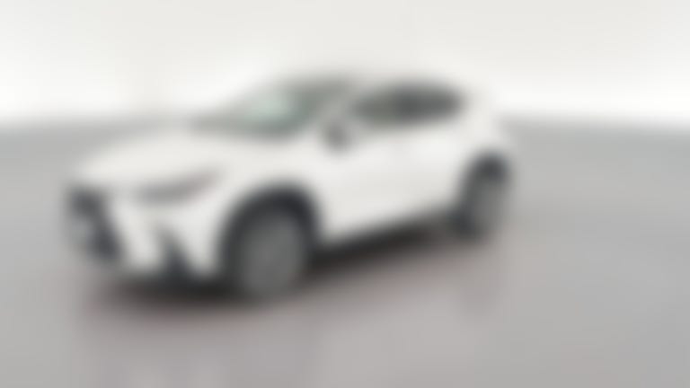 2025 Lexus NX vehicle photo