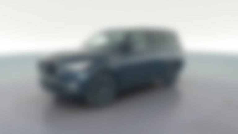 2022 INFINITI QX80 vehicle photo