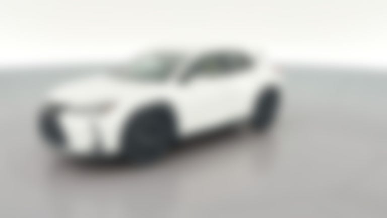 2021 Lexus UX vehicle photo