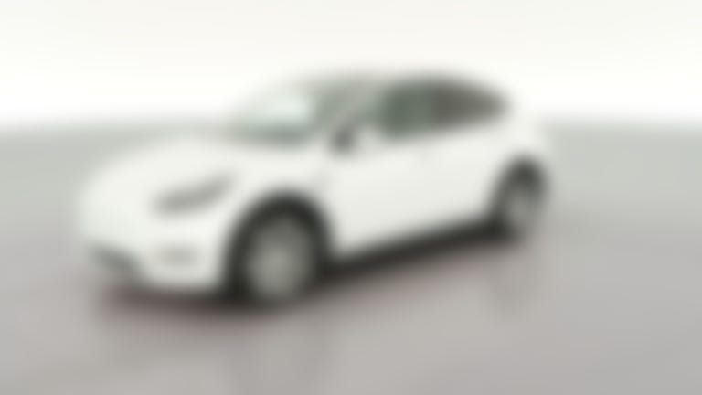 2023 Tesla Model Y vehicle photo