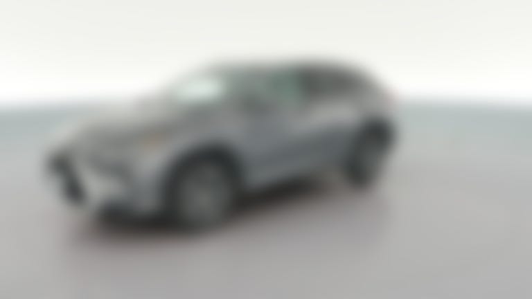 2019 Lexus RX vehicle photo