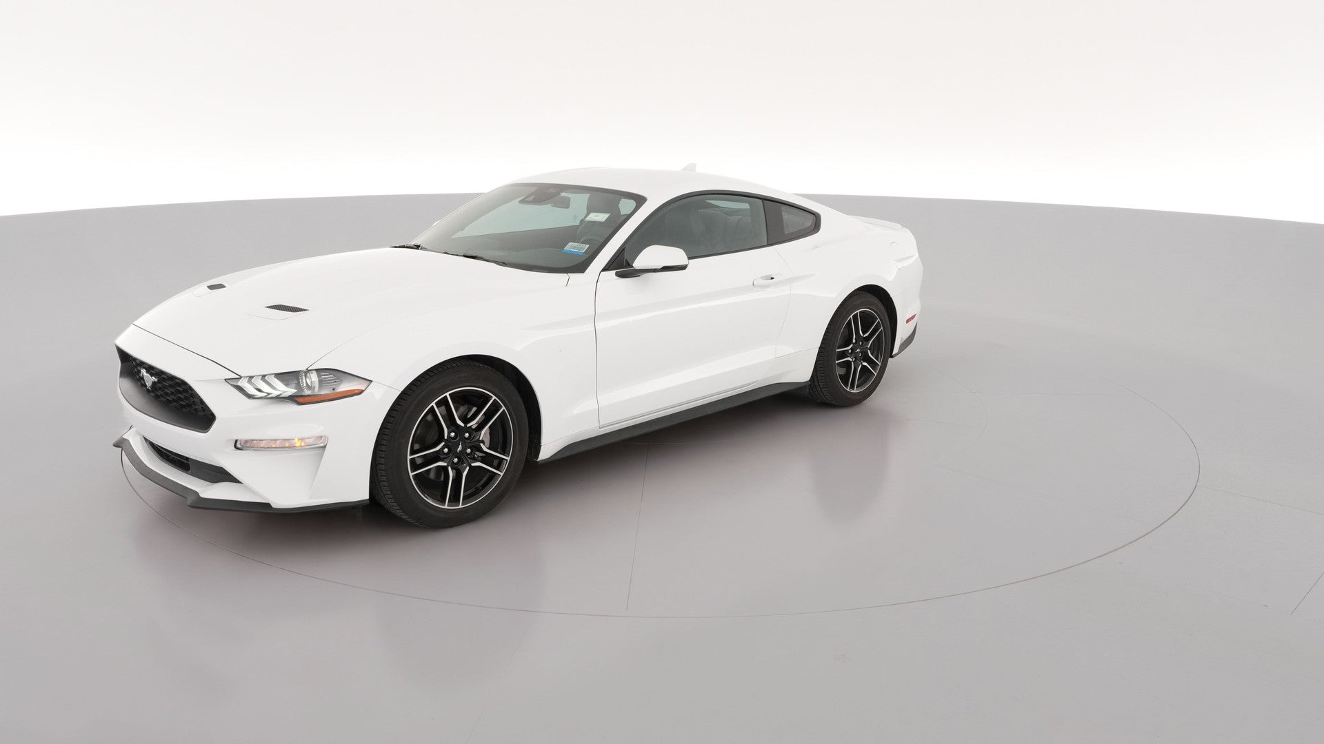 2023 Ford Mustang vehicle photo