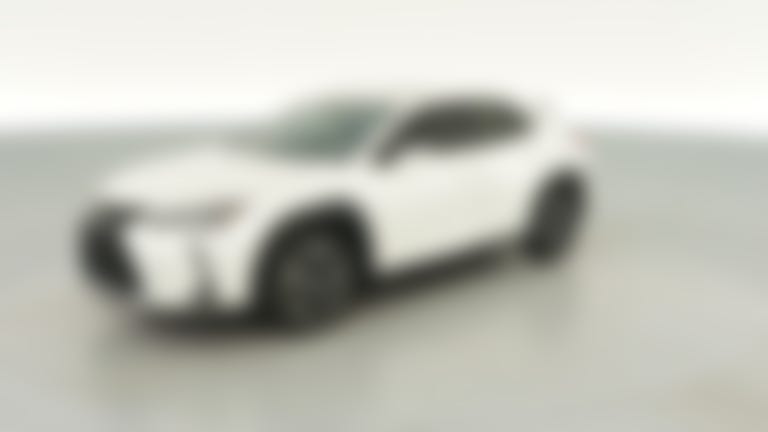 2020 Lexus UX vehicle photo