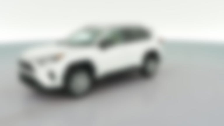 2019 Toyota RAV4 vehicle photo