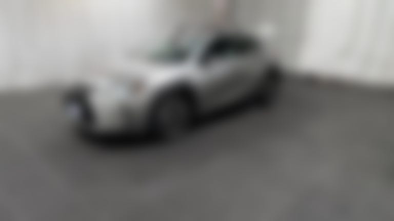 2019 Lexus UX vehicle photo