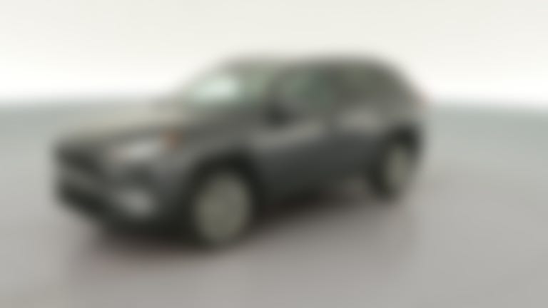 2019 Toyota RAV4 vehicle photo