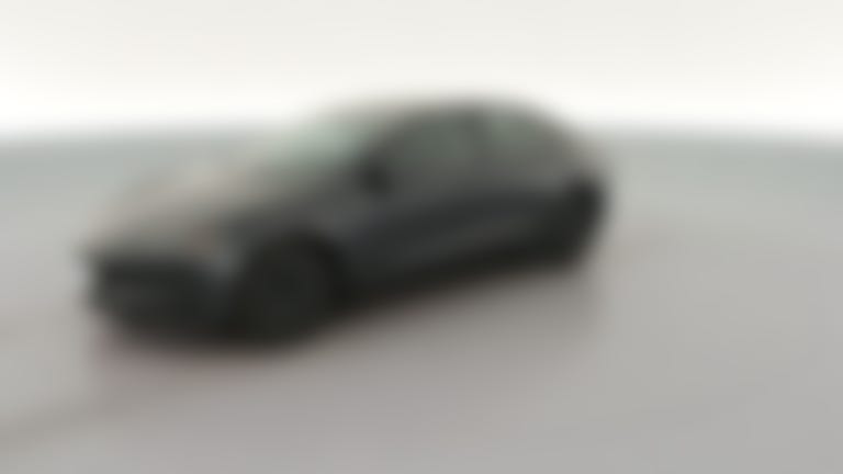 2025 Tesla Model 3 vehicle photo