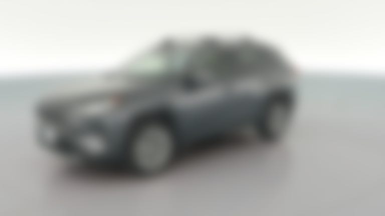 2019 Toyota RAV4 vehicle photo