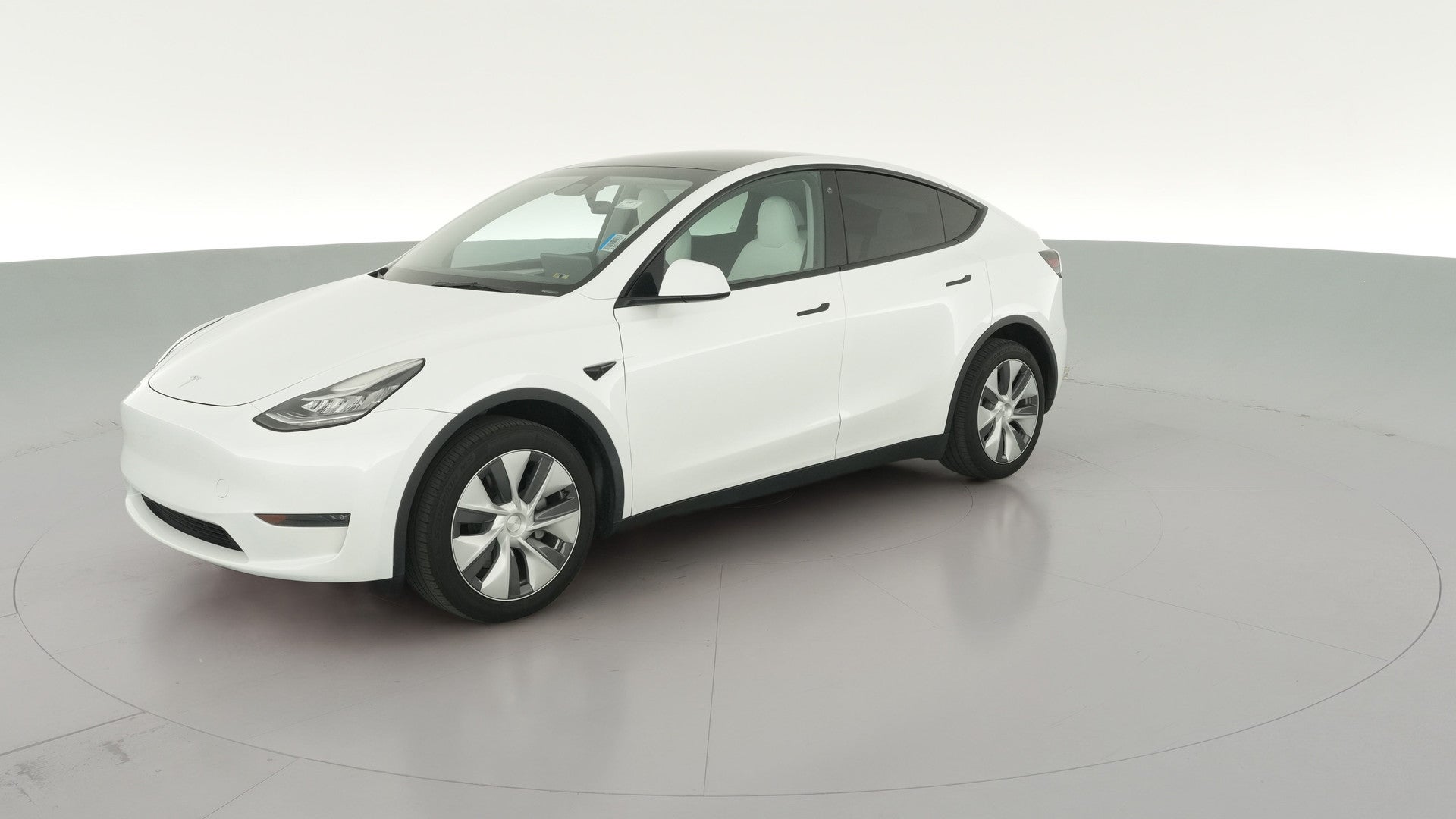 2023 Tesla Model Y vehicle photo