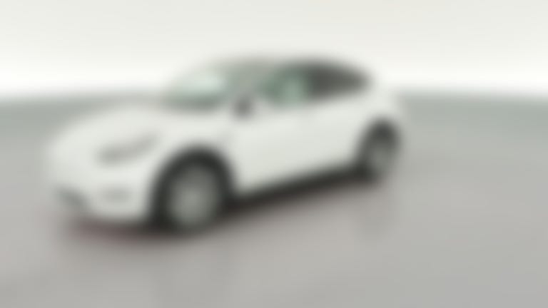 2023 Tesla Model Y vehicle photo