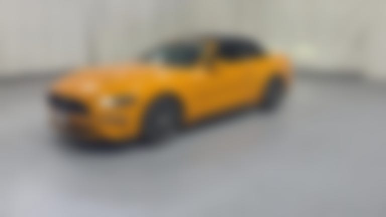 2019 Ford Mustang vehicle photo