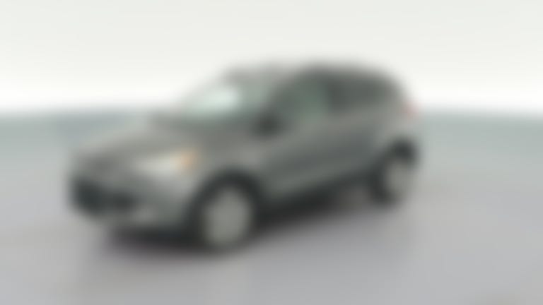 2014 Ford Escape vehicle photo