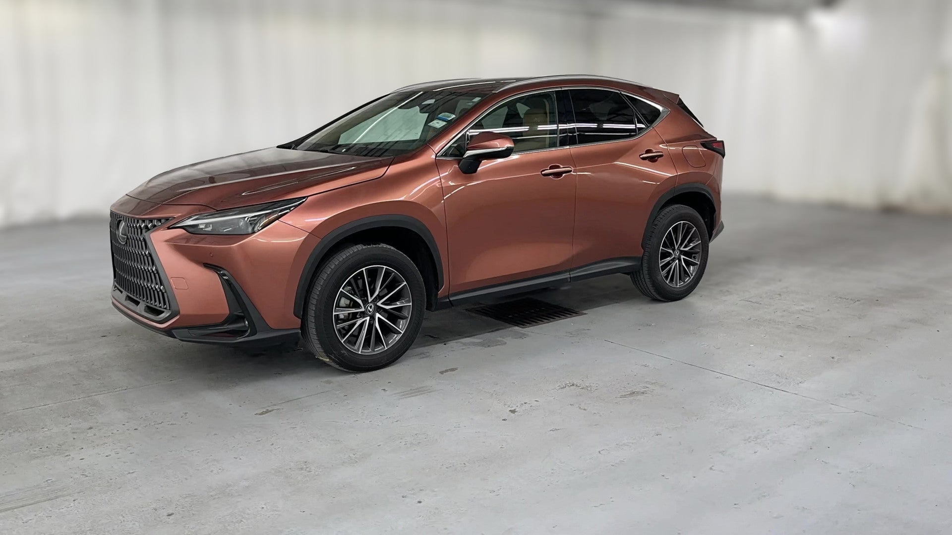 2025 Lexus NX vehicle photo