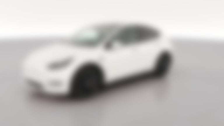 2023 Tesla Model Y vehicle photo