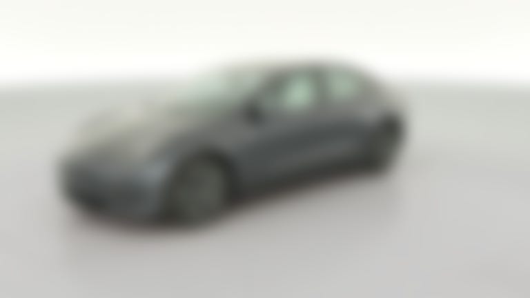2021 Tesla Model 3 vehicle photo