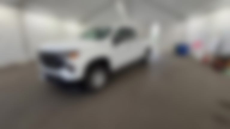 2023 Chevrolet Silverado 1500 Double Cab vehicle photo