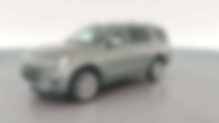 2019 Ford Expedition vehicle photo