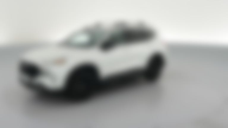 2022 Hyundai Santa Fe vehicle photo