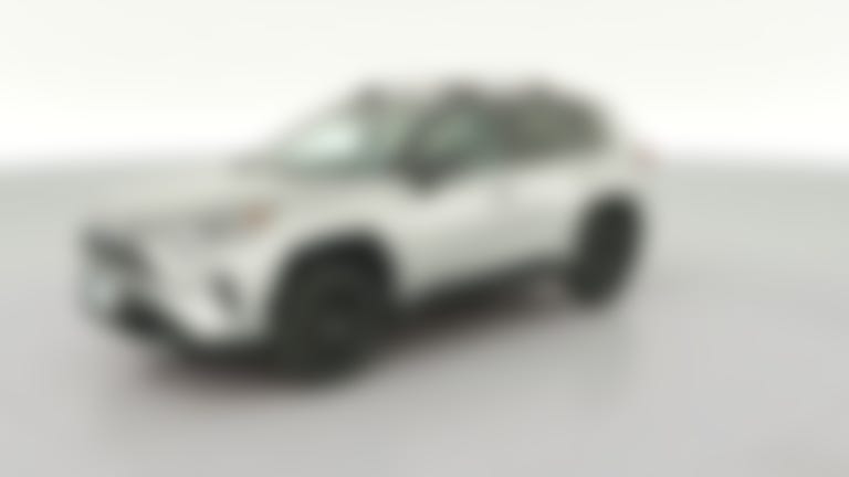 2019 Toyota RAV4 Hybrid vehicle photo