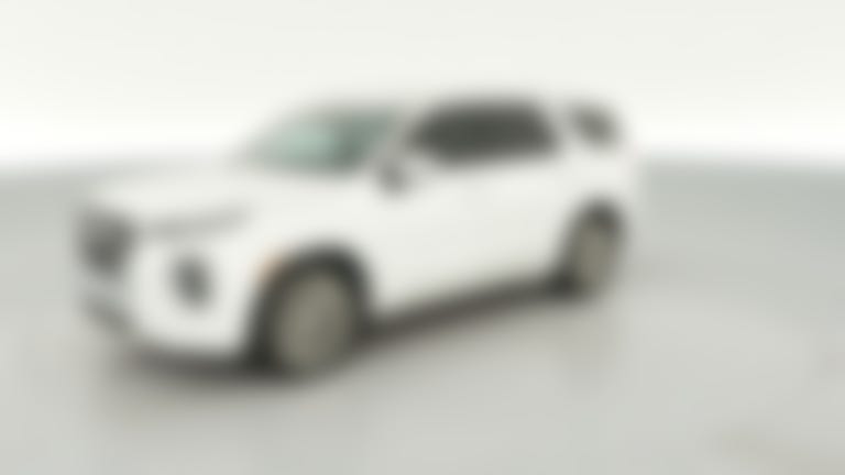 2020 Hyundai Palisade vehicle photo