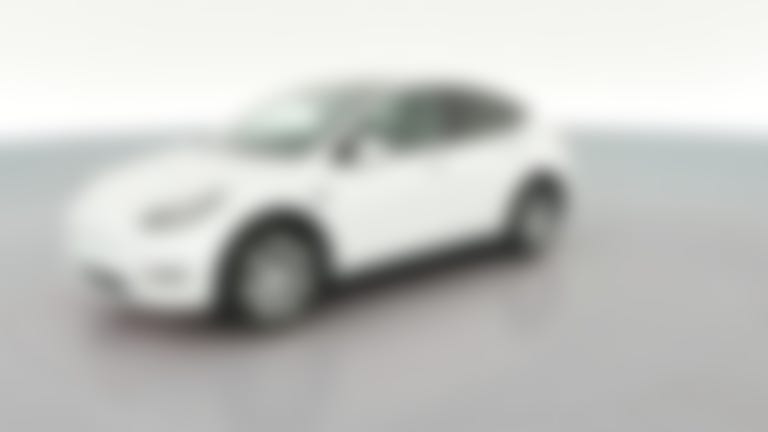2021 Tesla Model Y vehicle photo