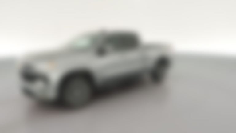 2023 Chevrolet Silverado 1500 Double Cab vehicle photo