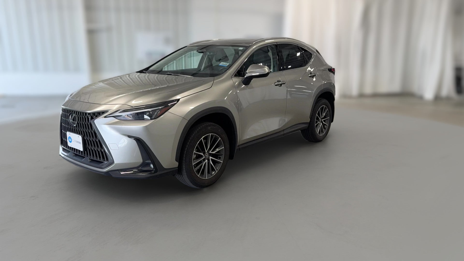 2024 Lexus NX vehicle photo