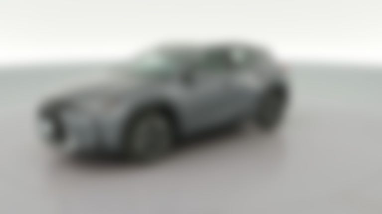 2020 Lexus UX vehicle photo