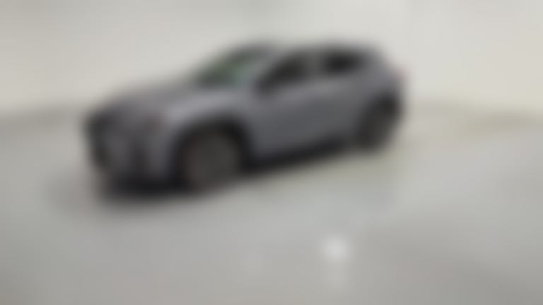 2021 Lexus UX vehicle photo