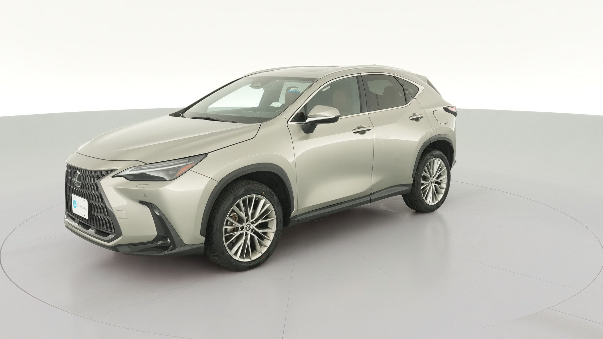 2023 Lexus NX vehicle photo