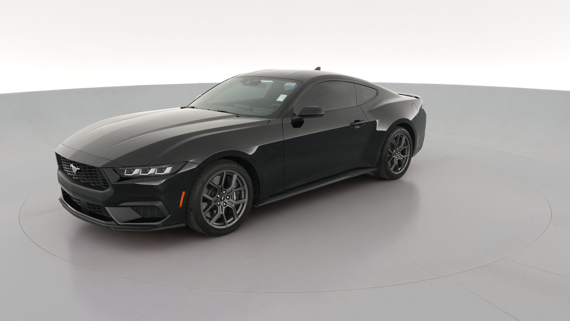 2024 Ford Mustang vehicle photo