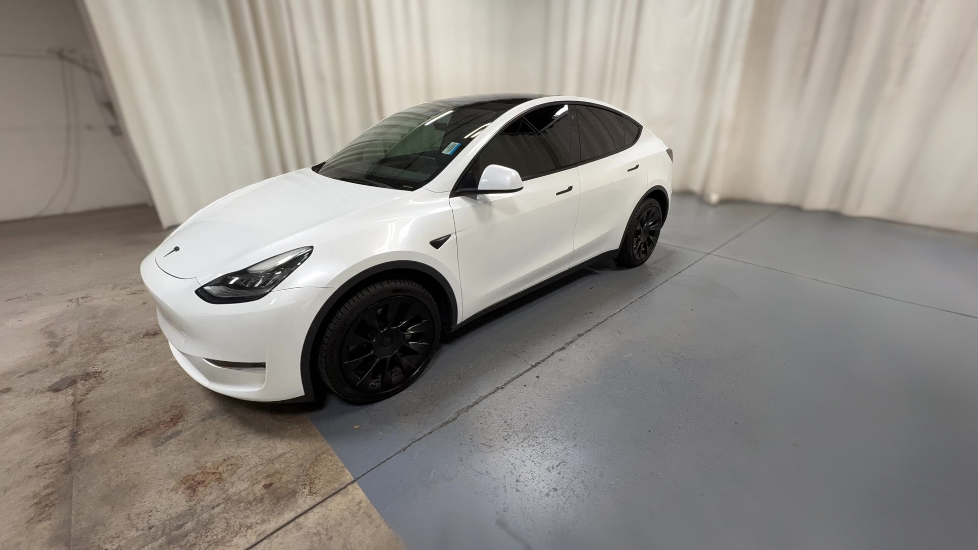 2023 Tesla Model Y vehicle photo