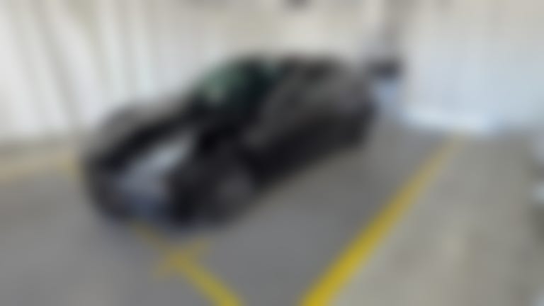 2020 Tesla Model 3 vehicle photo